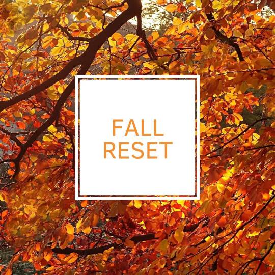 Fall Reset - Journey to Abundant Health